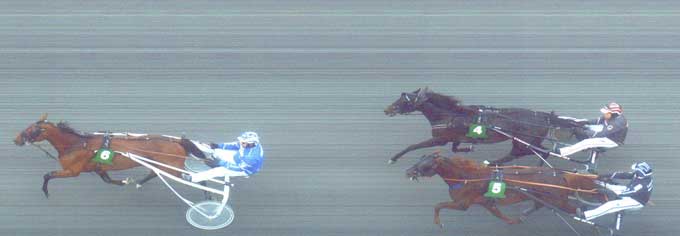 Thai Navigator vinder sikkert foran Glen Ord Superb og Jag Photo.