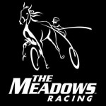 themeadowslogo