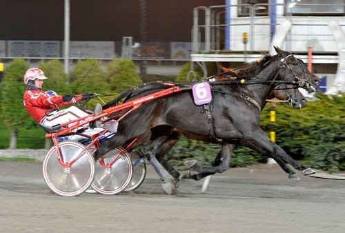 Thengill stred tappert fra dødens og vandt foran den skjulte XLNT Chili Triple. Foto Kanal 75
