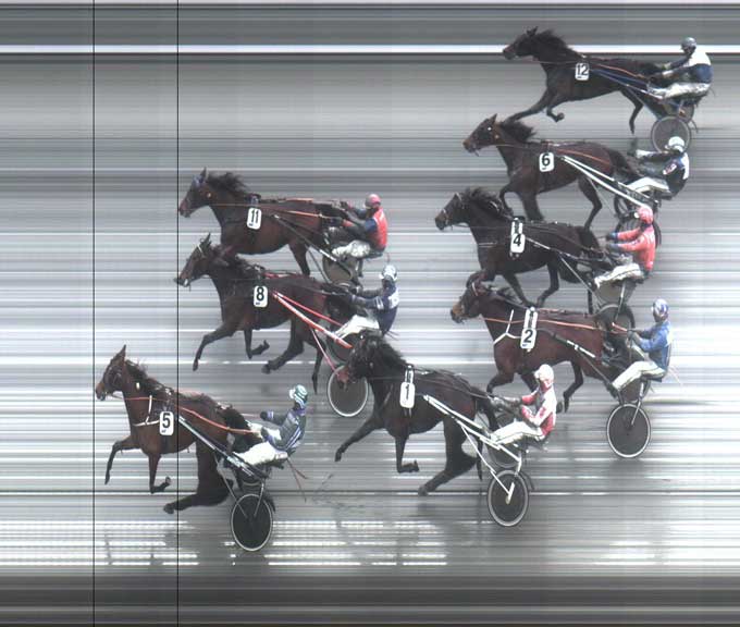 Der kom mange heste på mplfotoet, men Timber Mile vandt sikkert foran de ti andre danske hoppr, 8 US Sport og 11 Riana Criss, som næsten løb dødt løb!