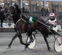  Tobby og Nicolaj Andersen? Foto travfotos.dk