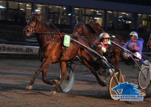 Tonicetobetrue er en af favoritterne i aftenens V86-spil, hvor der er små 9 millioner kroner i førstepræmiepuljen.