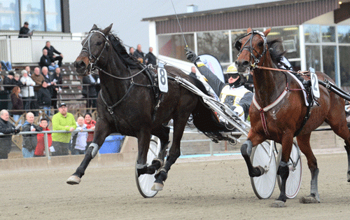 Udvendigt får Top Yllit med Jens Larsen presset sig foran Whisky Akema til sejr i V75-1 Foto Kanal 75