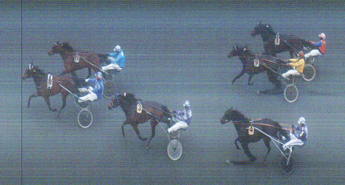 Toiuch My Shadow vinder foran The Flying Jet og de danske Rich Man, Tess Hovmand og Roberto