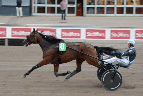 Treasure Kronos emd Christoffer Eriksson  var hurtugst med 1.11.4a/1609 m. Foto Halmstadtravet