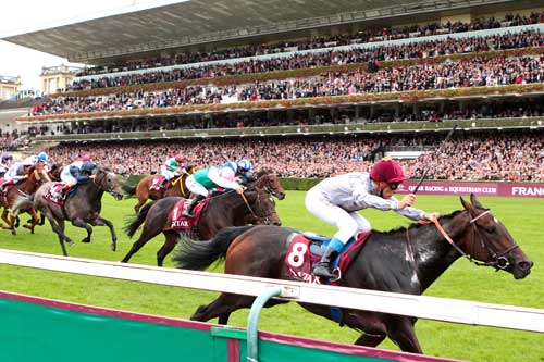 Sรฅdan sรฅ det ud, da Treve med Thgierry Jarnet vandt Prix de l'Arc de Triomphe i fjor. Foto Scoop Dyga