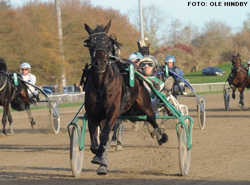 TRipolini VP blev nummer to på Axevalla. Foto Ole Hindby