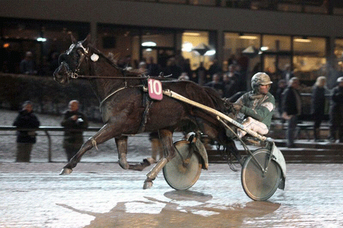 Troja Cæsar med Ole Bender kom fra sejr på Lunden og vandt igen fredag på hjemmebanen i odense. Arkivfoto Martin Timm HOlmstav