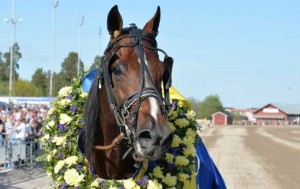 Truculent .-tilbage i vindercirklen. Arkivfoto Kanal 75
