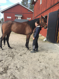 Trudilutt ved ankonsten til Bjørn Goops stald. Foto privat