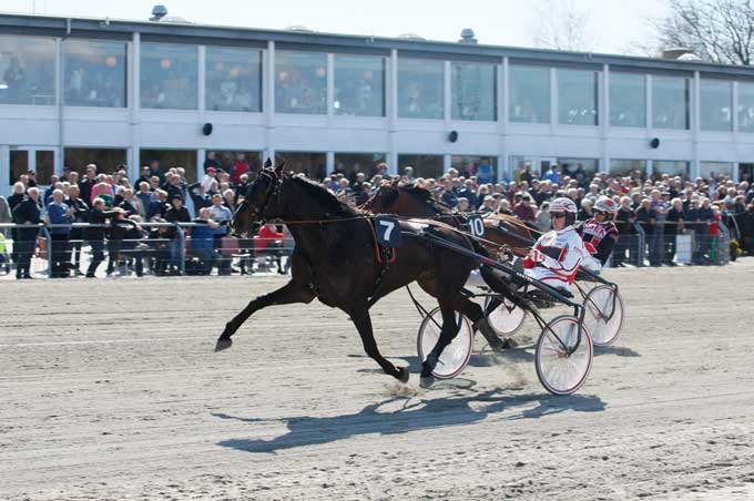 Tuonoblu Rex med Robin Bakker vinder i ny banerekord 1.13.9a/2060 m foran staldkammeraten Fortune Boko med Steen juul. Foto Flemming Andersen.