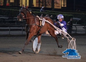 Turbo Day med Anette Olsen kan i aften vinde sin 6. sejr på Lunden i år.