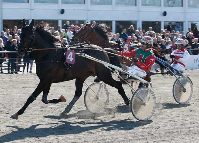 Tycoon Conway Hall hang på en lile i opløbet, men Steen Juul fik dne først over stregen i Lord Valentines Mindeløb Foto Flemming Andersen
