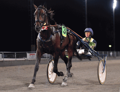 Uncle Lasse kan vinde finalen i Jubileumspokalen. Foto Kanal 75