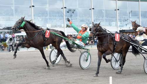 United Love henviser Bad Moon Rising til andenpladsen i Breeders Course-finalen, Foto Kanal 75