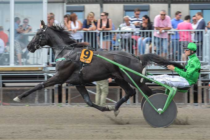 Univers de Pan er fra morgen stunden favorit til at vinde Elitloppet 2015! Foto Kanal 75