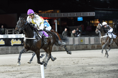 Danske Viking Olympic med Beate Persson vandt sikkert pรฅ Solvalla. Foto Kanal 75