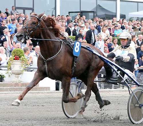 VInder Mølgård har startet for første gang i Østrig,. Foto Martin Timm Holmsyav