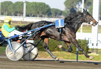 Endnu stjerne fra Temple Blue Chip