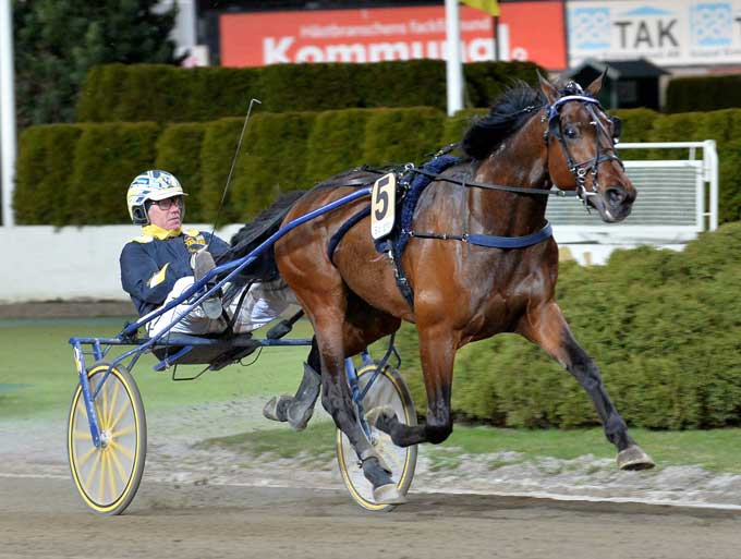 Volstead . det seneste stjerneskud fra Stefan Melander. Kanal 75