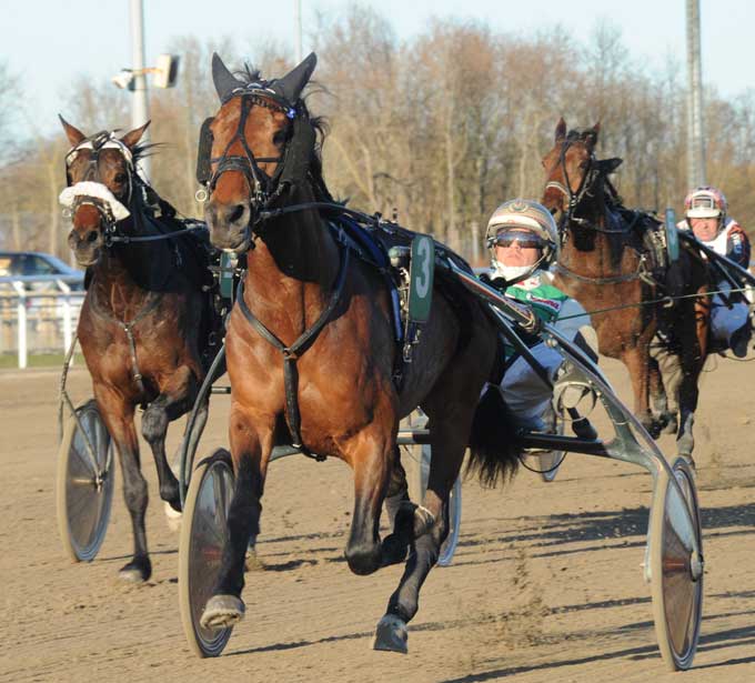 Peter Jensen-trรฆnede Walt Disney med Jeppe Juel vandt i rekord 1.14.2a/2140 m. Foto Ole HInmdby