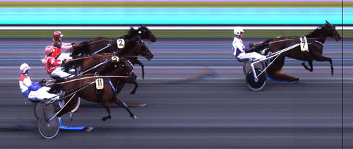 Watch me Boy med Hans Chr Holm vandt sin norske debut ganske sikkert