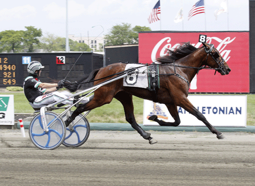 Weingartner vandt verdens største løb for 2-åringer, Peter Haughton memorial.