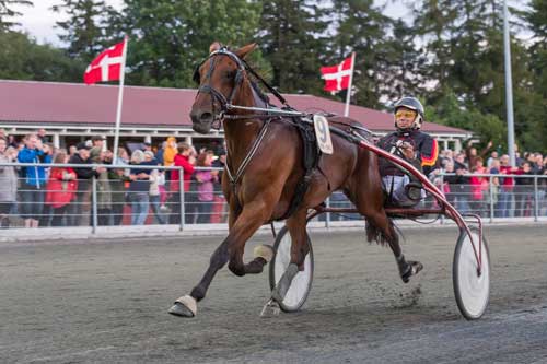 Ingen var i stand til at true What a Babe og Stefan Lind-Holm, der sejrede sikkert. Foto Photopassion.dk