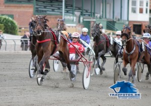 Whisper Line med Peter Untersteiner viandt Dansk Hoppe Kriterium