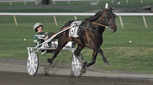 Whom Shall I Fear med Yannick Gingras og trænet af Jimmy Takter vandt Hambo consolation. arkivfoto