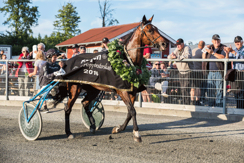 Wild Jessie med There Mikkelsen vandt Færgens Hoppemesterskab for 3. gang. Foto Travfotos Bornholm