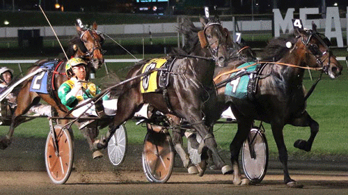 Udvendige Wings of Royalty med Tim Tetrick nedkæmper Pinkman med Yannick Gnigras. Lisa Photo.