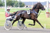 Wishing Bo - måske til Paris?- Foto Martin Timm Holmstav