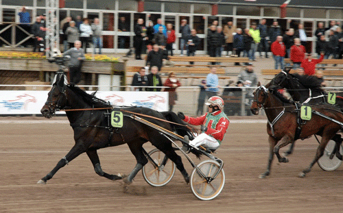 Tycoon COnway Hall med Steen Juul vinder i årets hurtiugste tid i Sverige 1.10.4. Foto Halmstad Travet